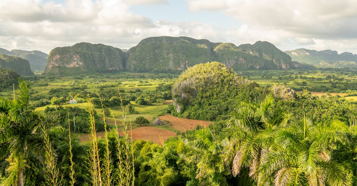 imagem que representa o clima equatorial